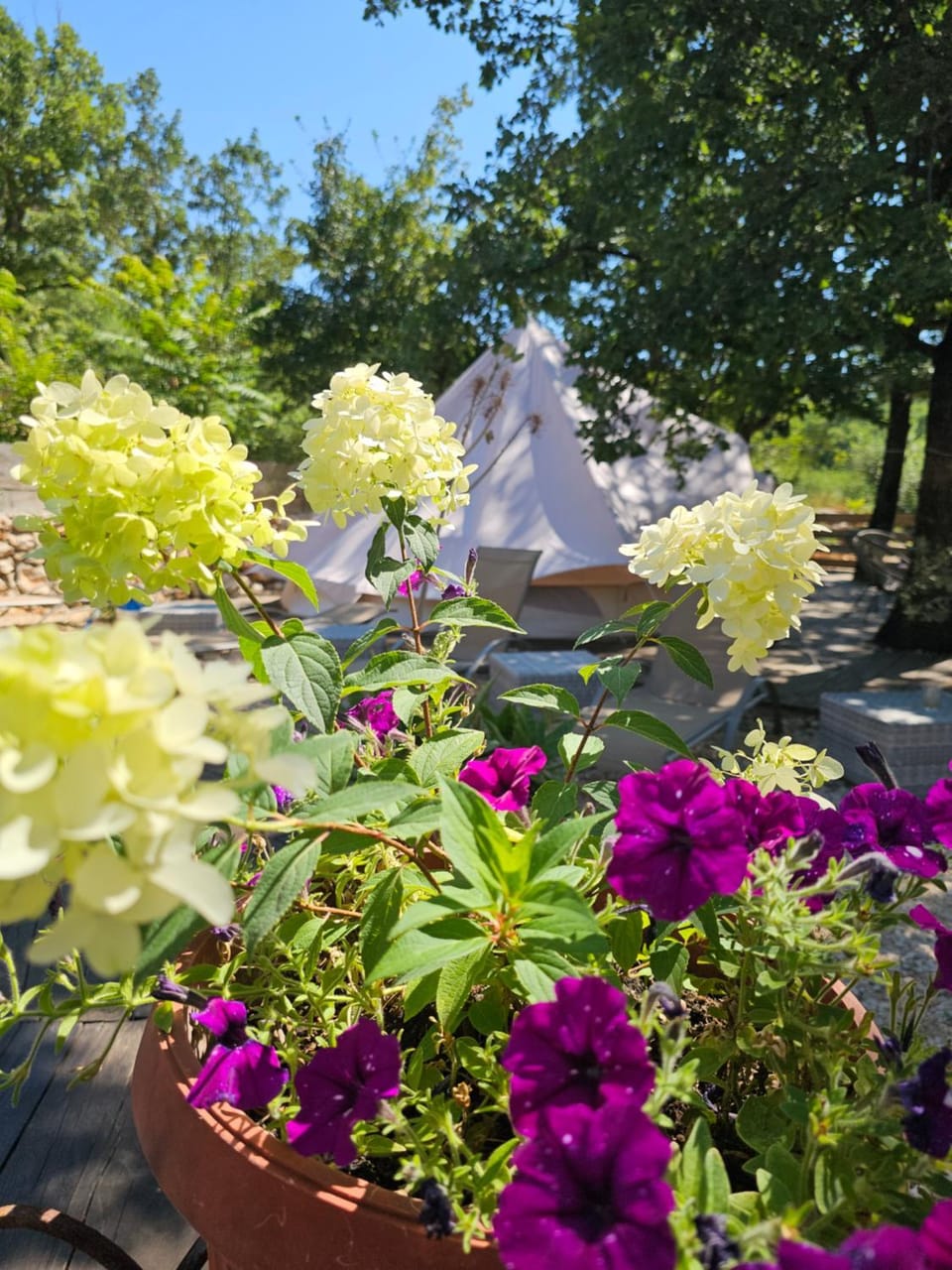 Glamping Imotski 5 Luxury tent in Imotski