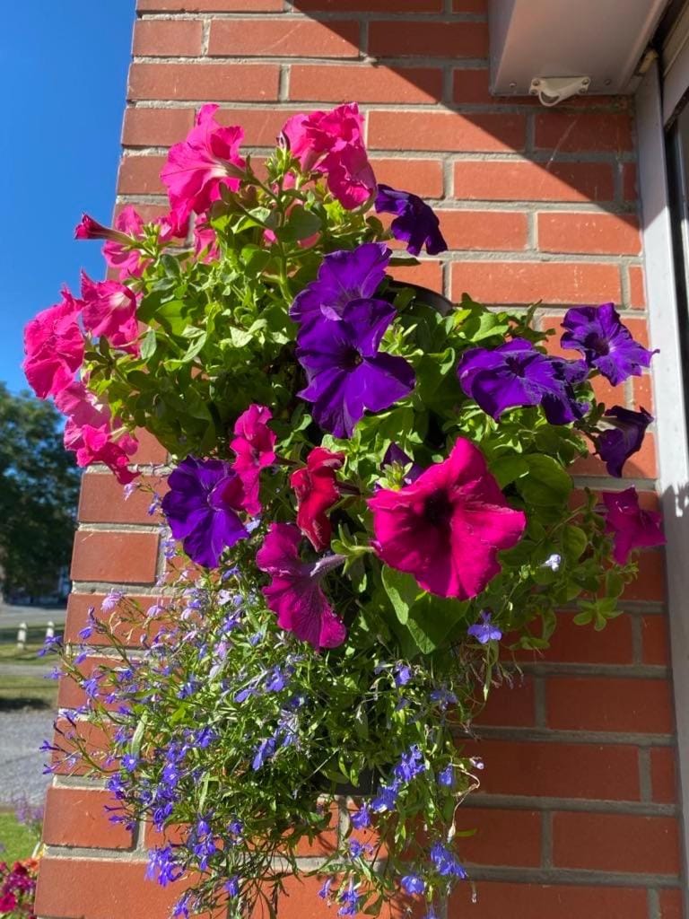 Lauralys Bed and Breakfast in Hauts-de-France