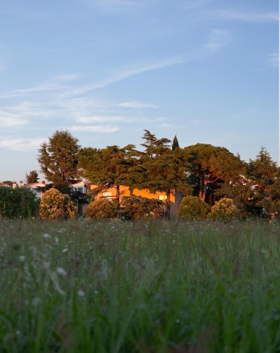 VALDORA - Luxury villa with heated pool Villa in Novigrad