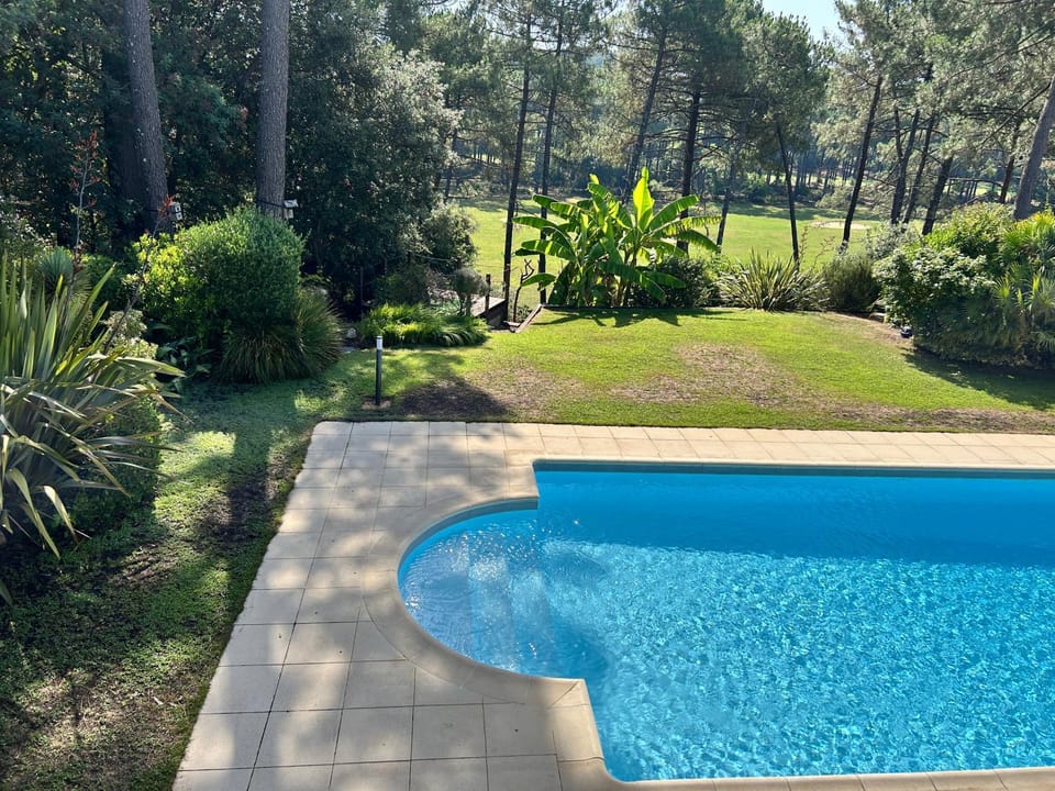Spring, Day, Garden, Garden view, Pool view, Swimming pool, Swimming pool