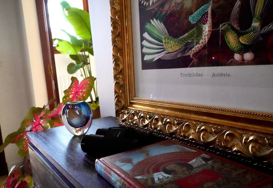 Chambre confort - Le Boudoir Vacation rental in Hendaye