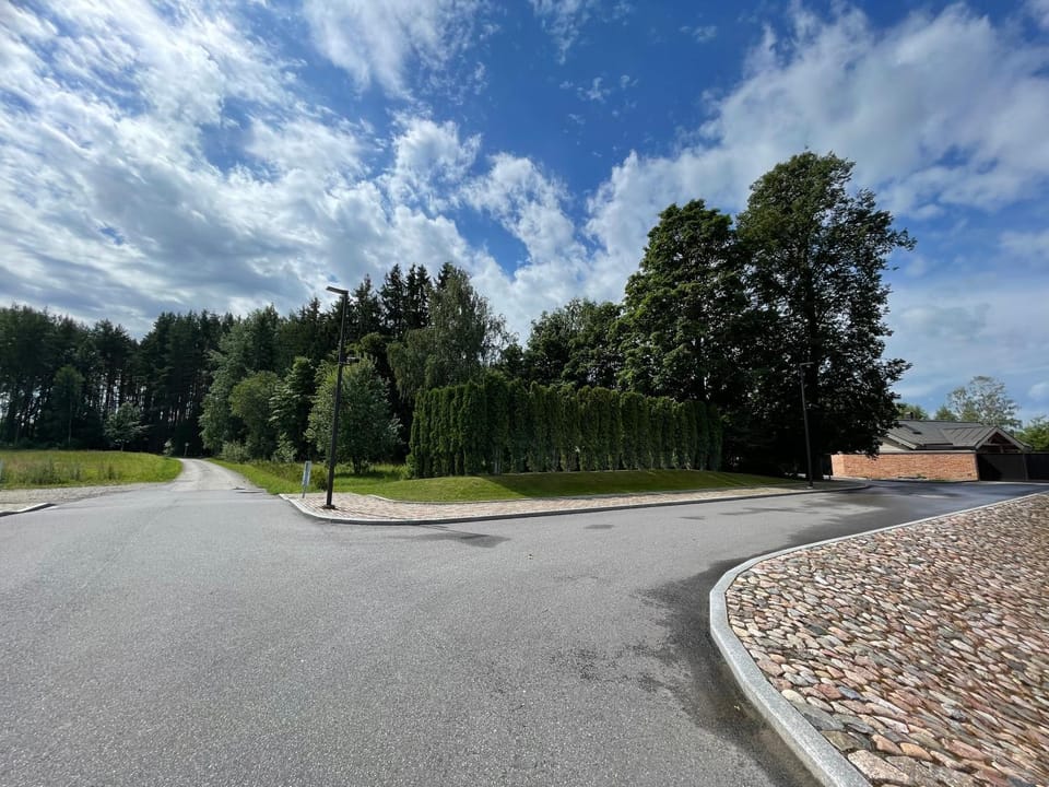 Day, Neighbourhood, Natural landscape, Summer