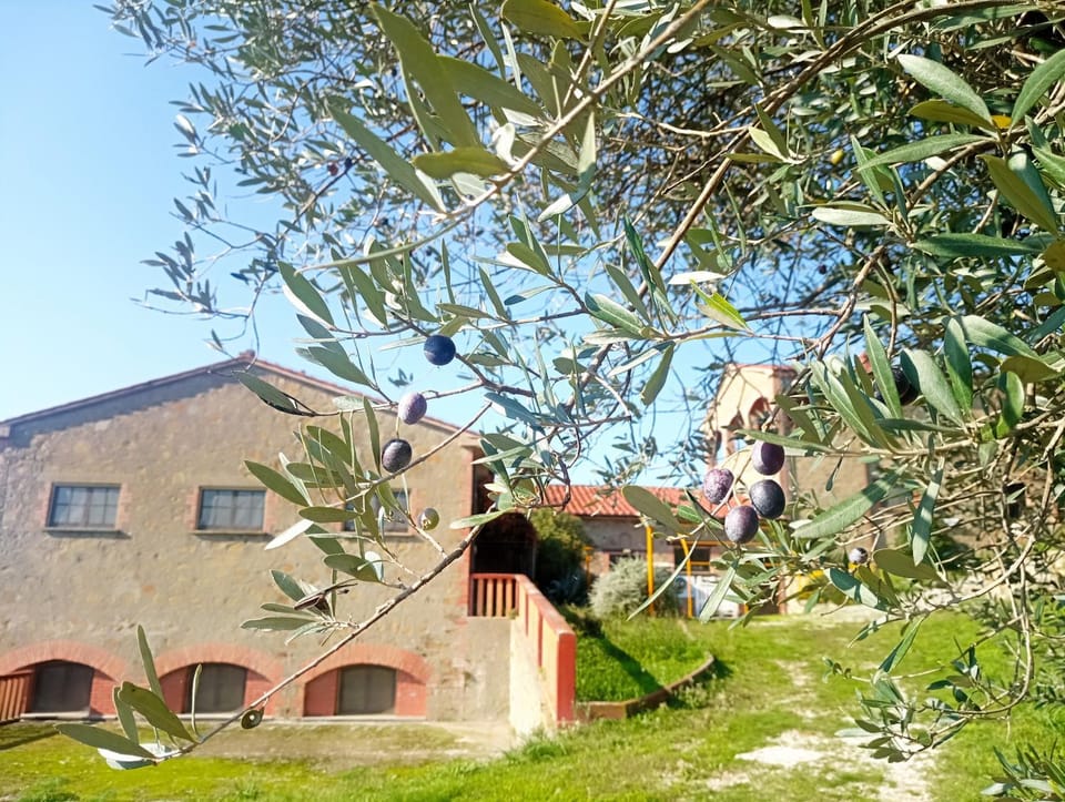 Trasimeno Nature house Hotel in Umbria