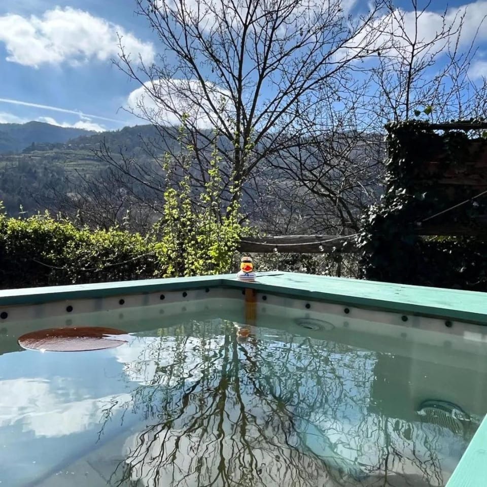 Natural landscape, Pool view, Swimming pool