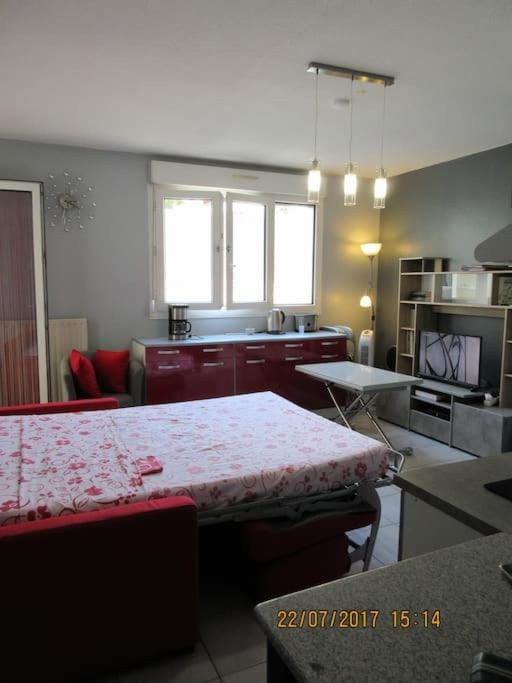 T2 centre ville, wifi, parking Apartment in Béziers