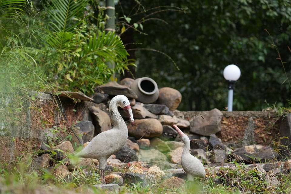 Garcinia Villa Farm Stay in Karnataka