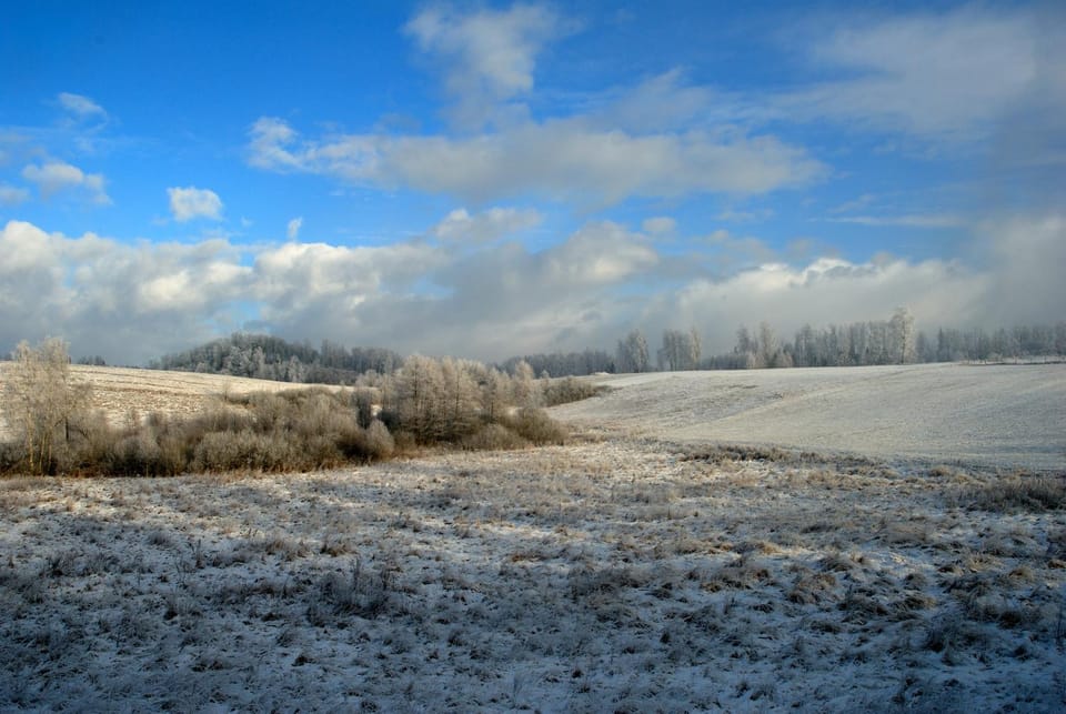 Natural landscape, Winter, View (from property/room)