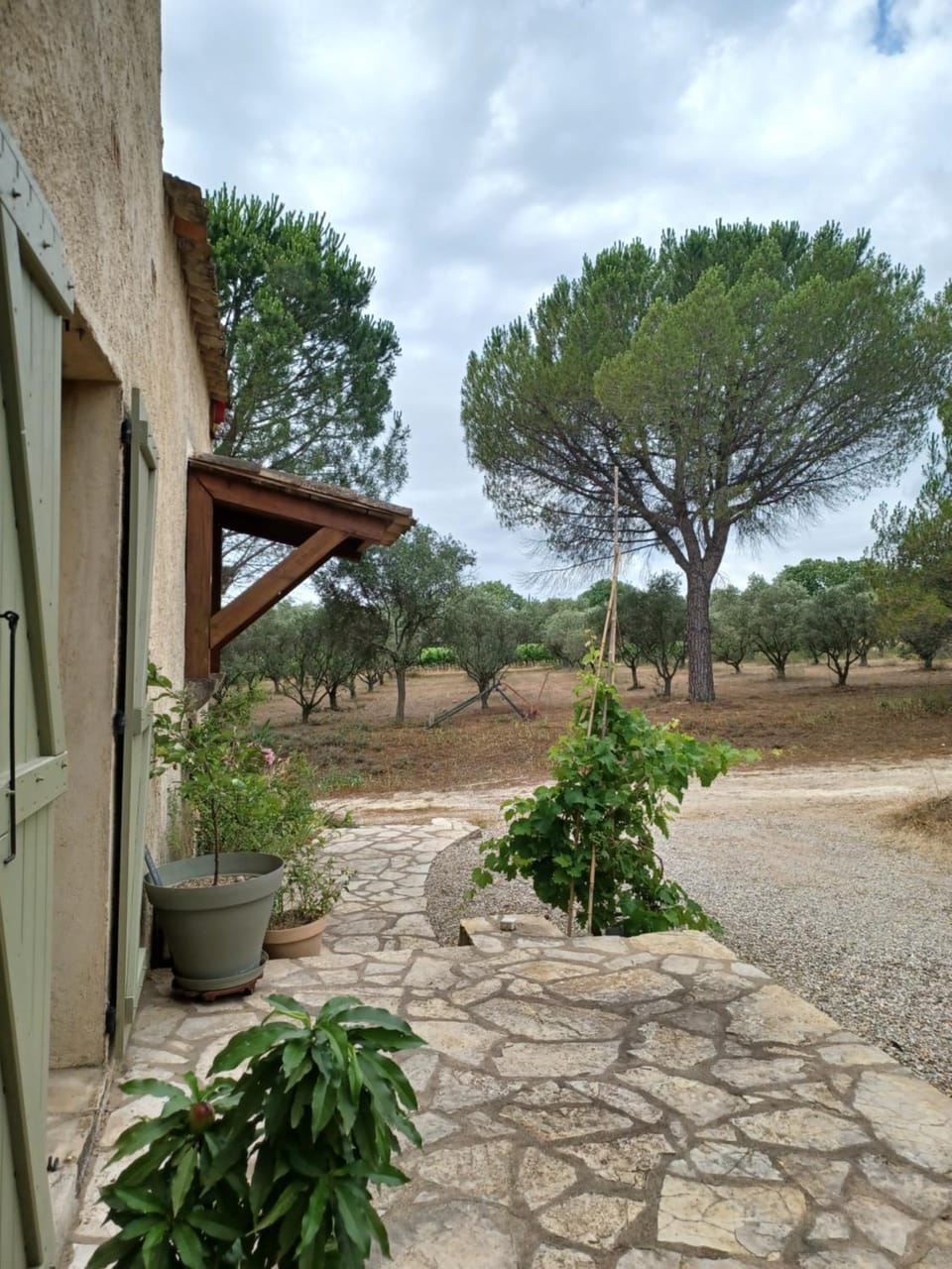 Property building, Balcony/Terrace, Garden view
