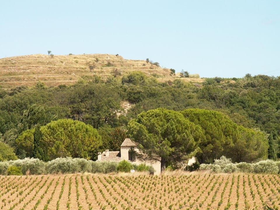 Natural landscape