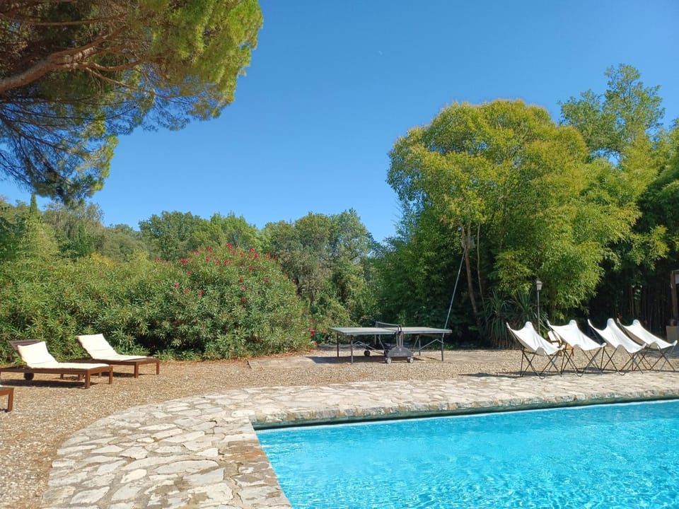 Natural landscape, Garden, Garden view, Pool view, Swimming pool, sunbed