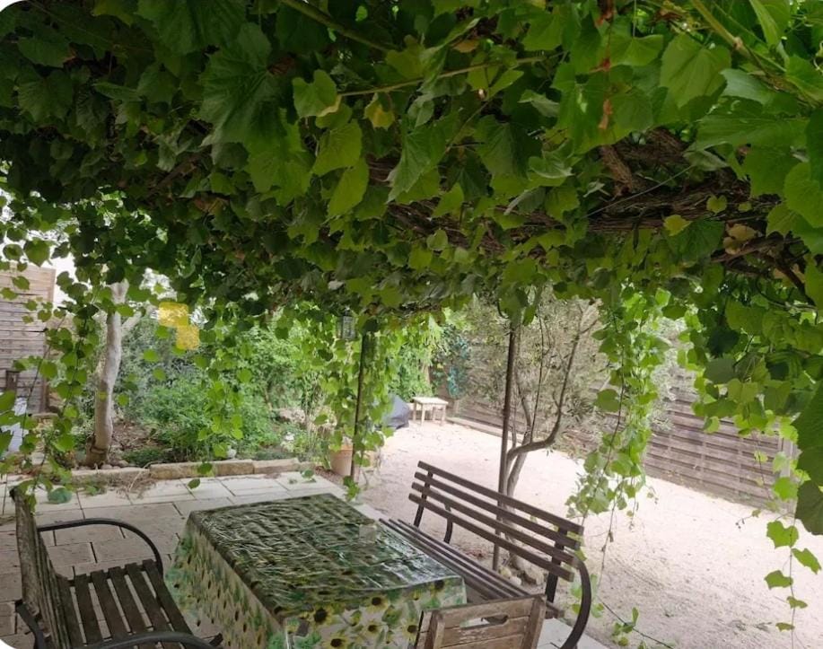 Spring, Day, Garden, Dining area, Garden view