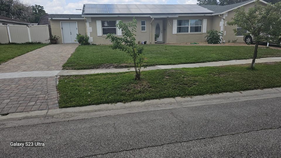 Property building, Day