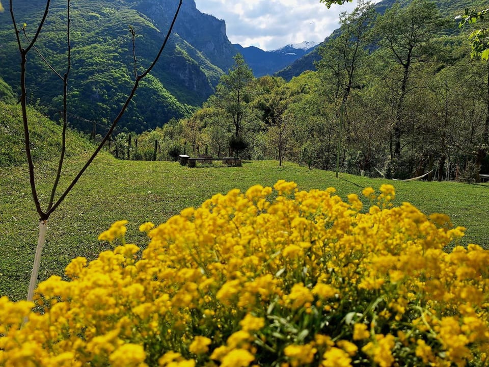 Villa Era Malit Villa in Montenegro