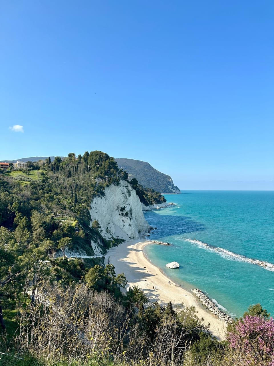Natural landscape