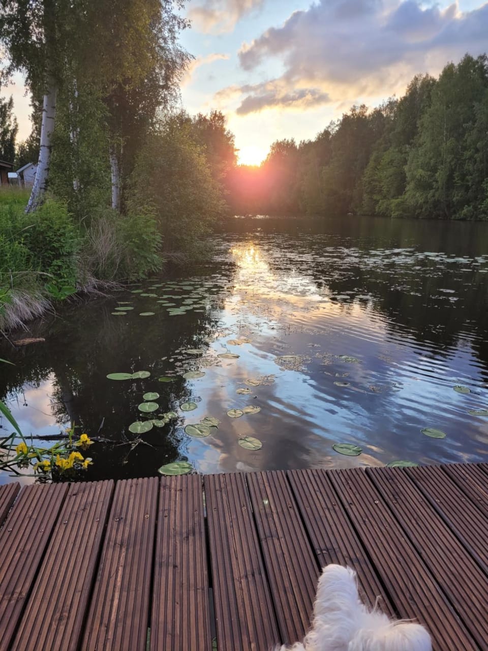 River view