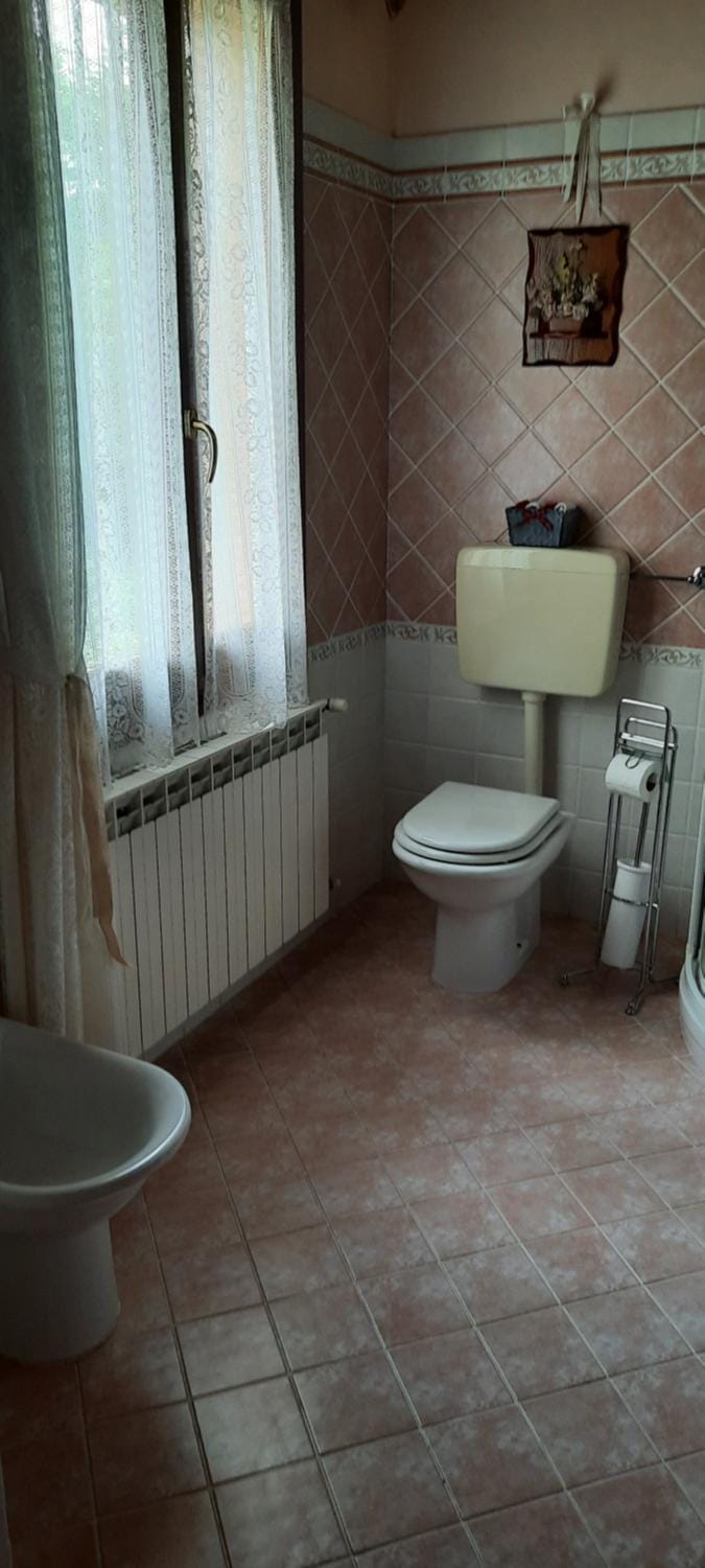 Toilet, Bathroom, bidet