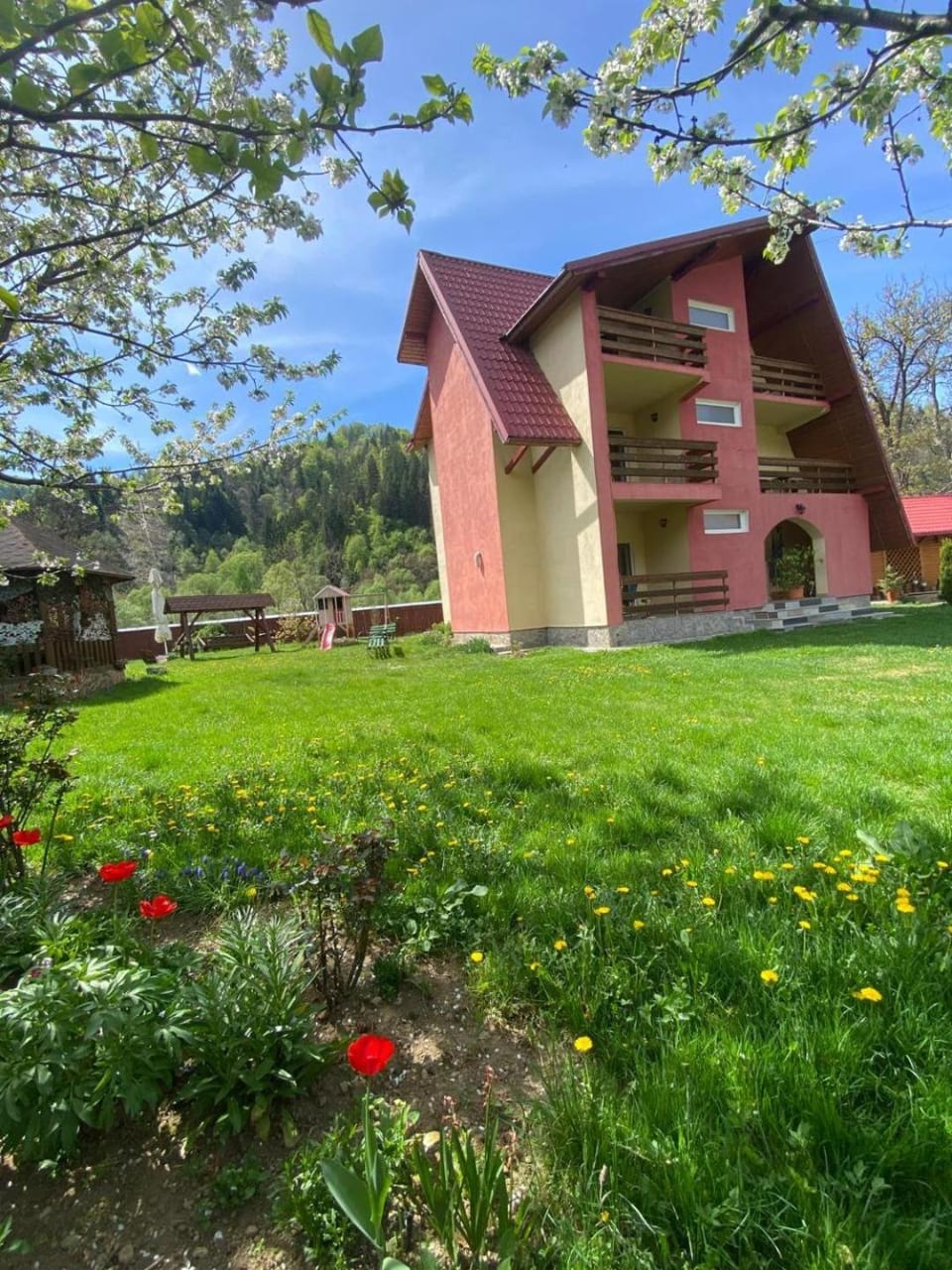 Pensiunea BUJOR DE MUNTE Bed and Breakfast in Romania