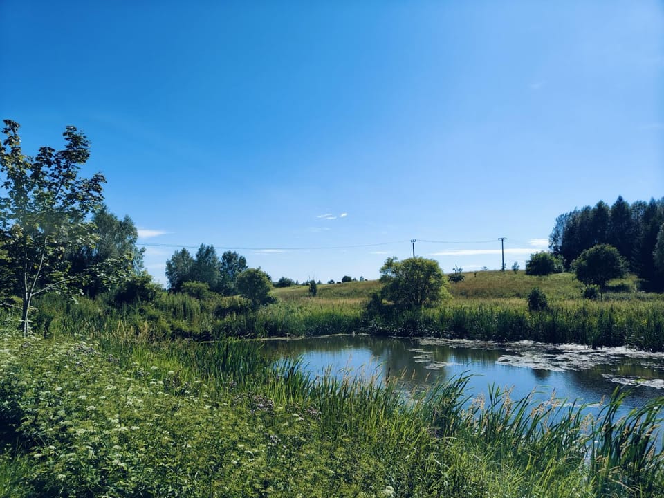 Day, Lake view