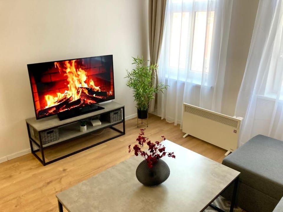 Tikrai nelis Apartment in Latvia