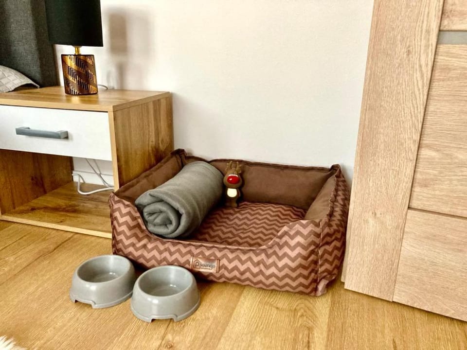 Tikrai nelis Apartment in Latvia
