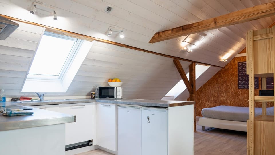 Loft lumineux atypique 10 minutes Strasbourg centre Apartment in Strasbourg