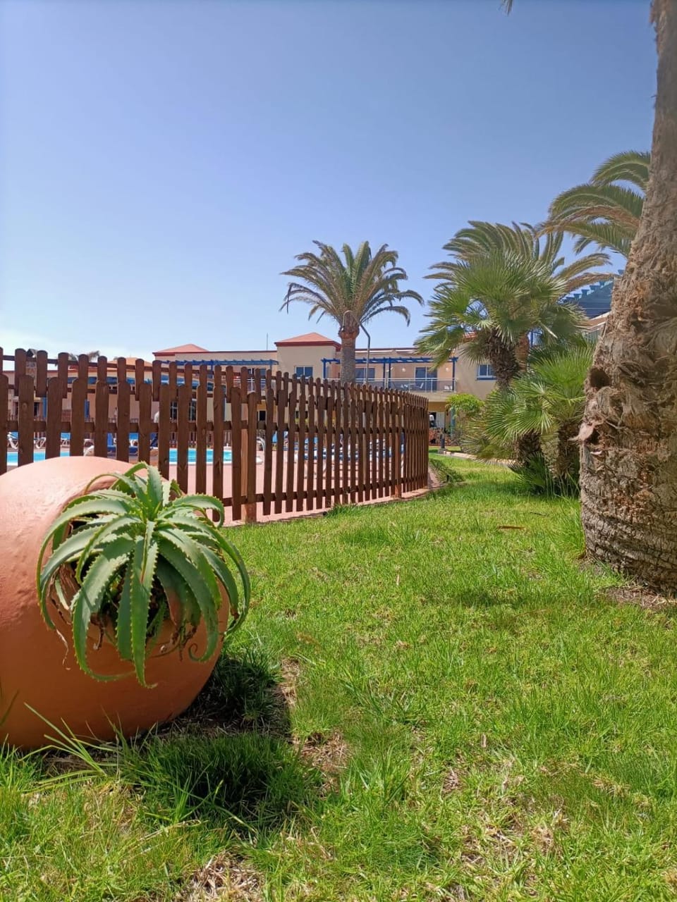 CASA ANITA, pool sea and surf in Corralejo Apartment in Corralejo