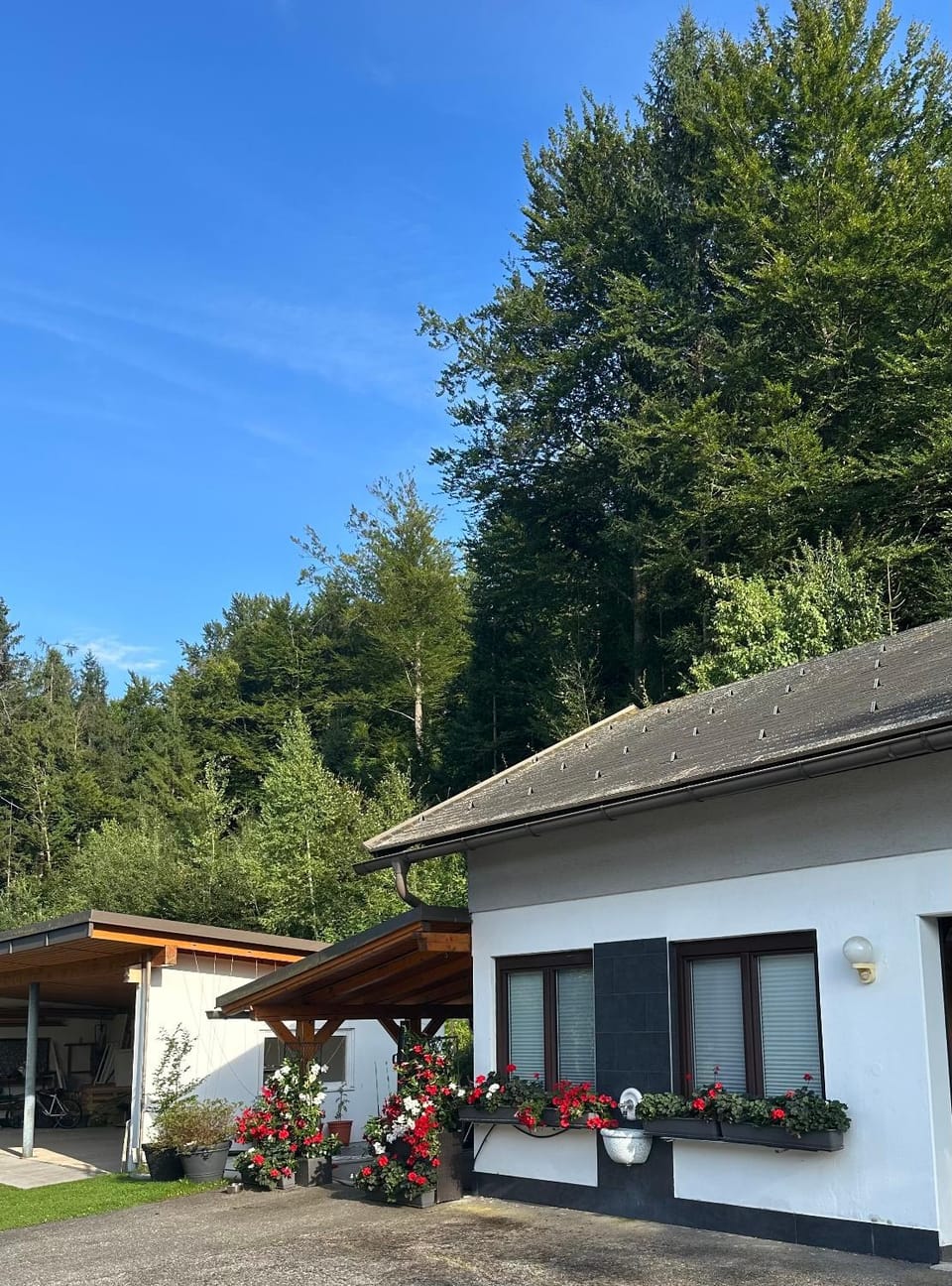 Garden view