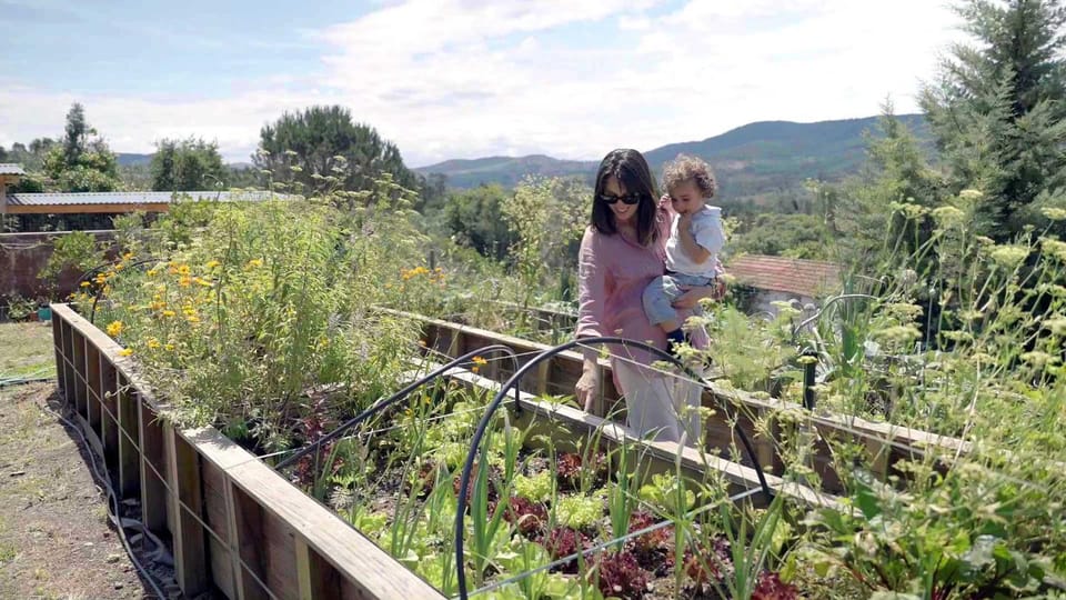 Natural landscape, Garden, Mountain view