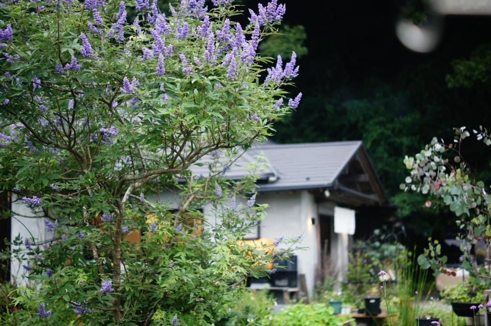 Garden, Garden