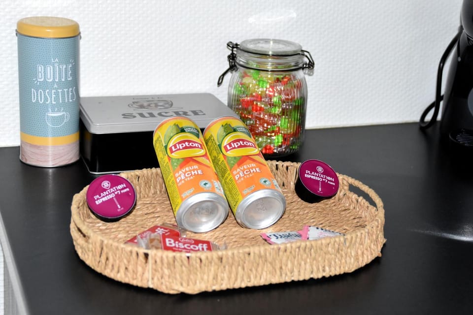 La Cachette Ludique Apartment in Orléans