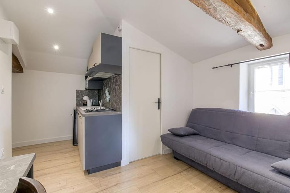 Le Francfort - Les appartements de l'olivier Apartment in Auvergne-Rhône-Alpes