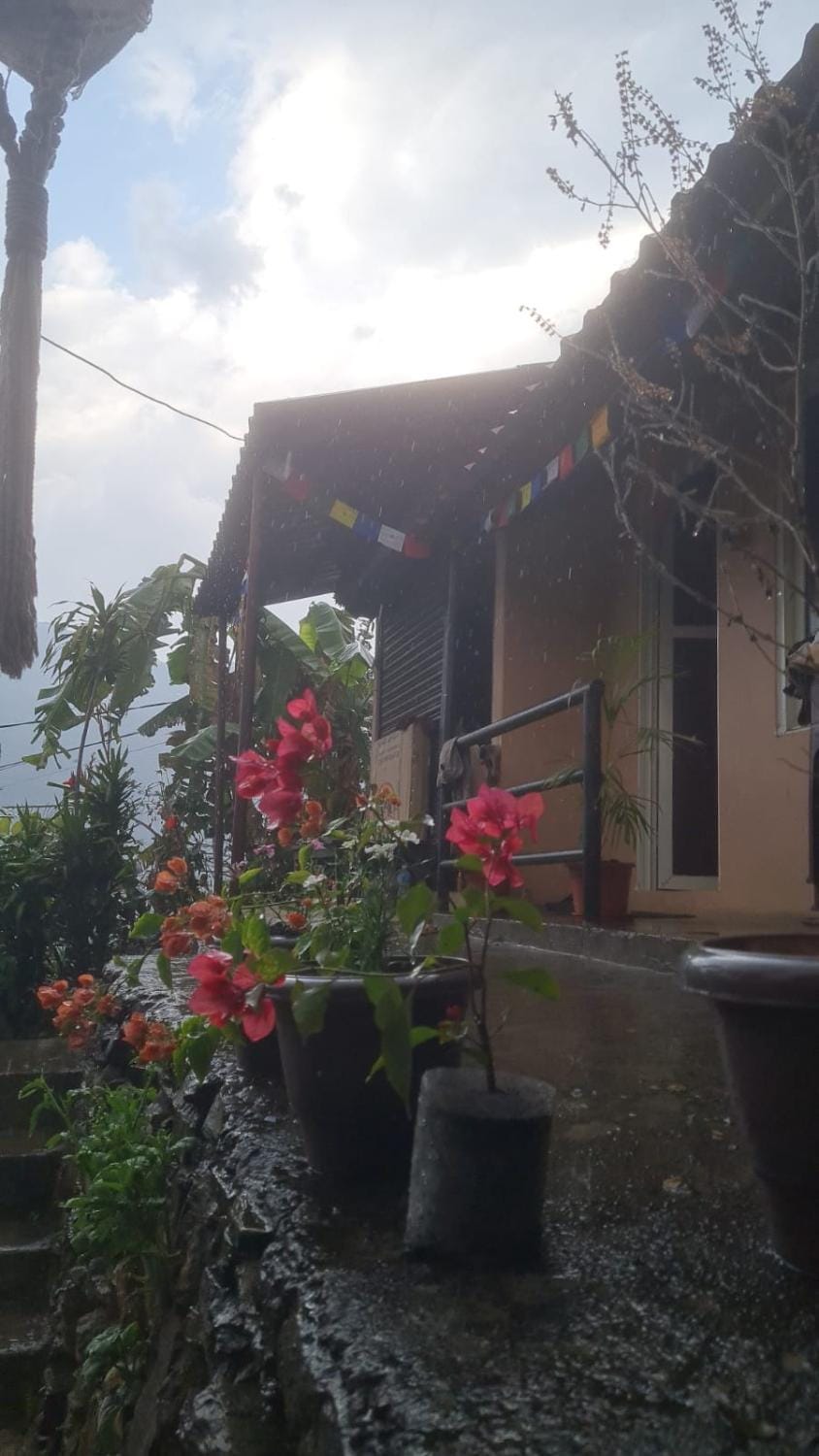 Property building, Garden, Garden view