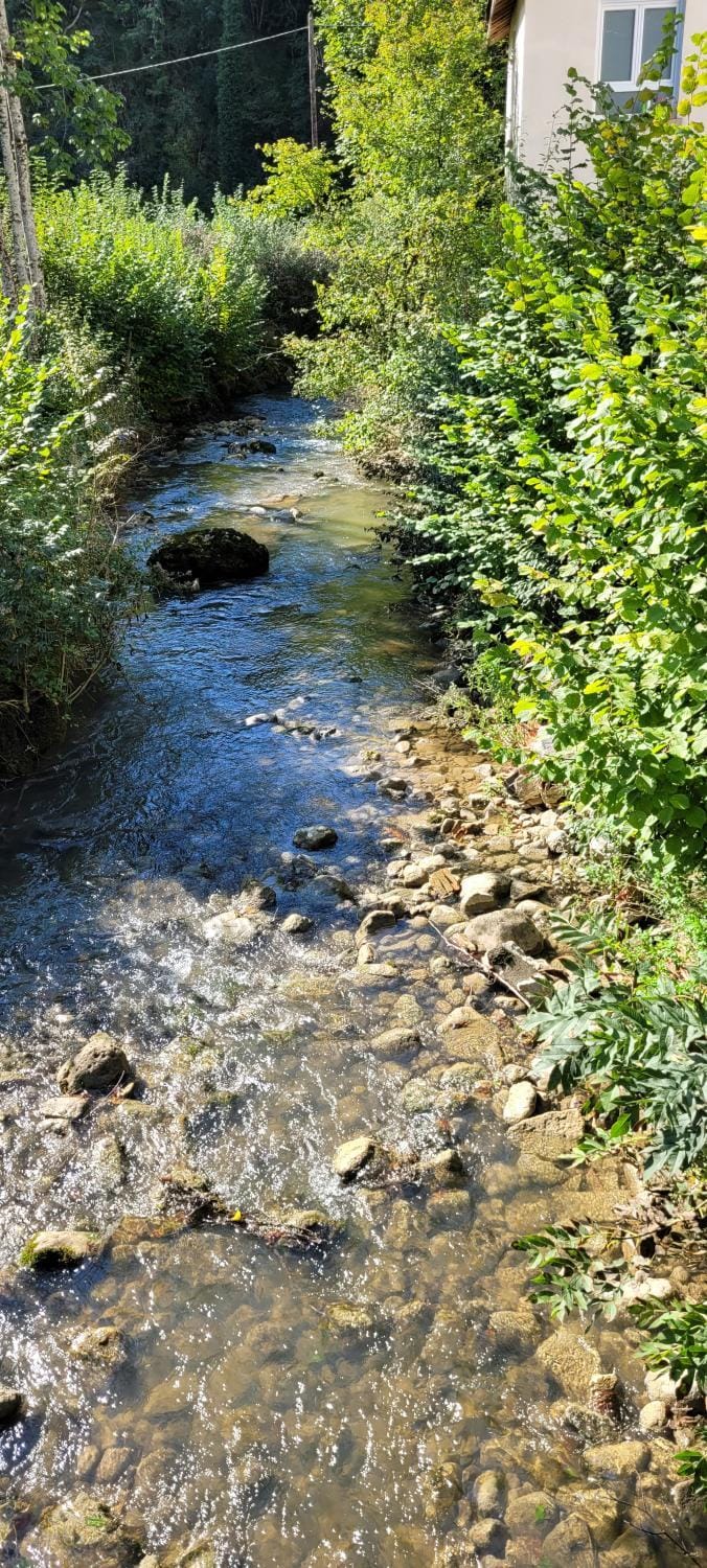Le Bohème Apartment in Jura