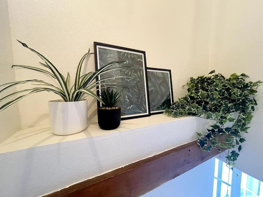 Jungle Haven - Romans-sur-Isère Apartment in Provence
