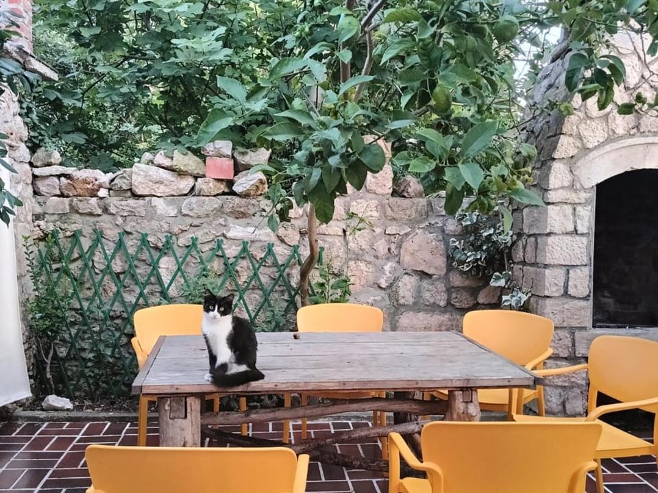 Patio, Dining area