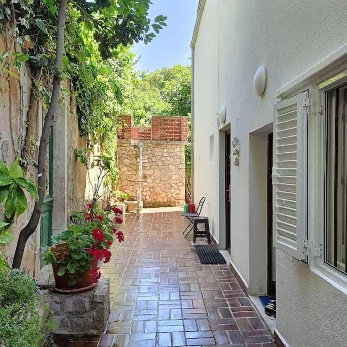 Property building, Garden view