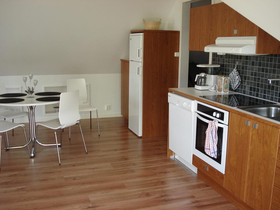 Kitchen or kitchenette, Dining area, dishwasher, oven, stove