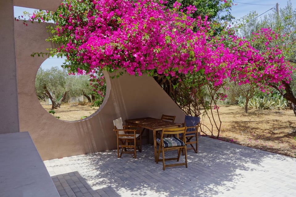Garden, Dining area, Garden view