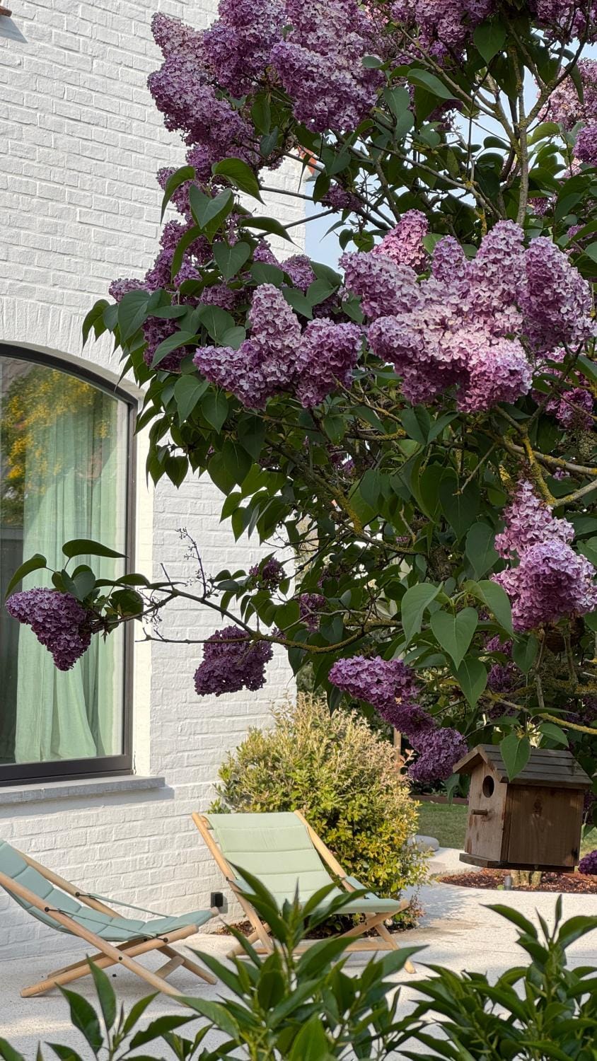 Day, Garden, Balcony/Terrace, Garden view