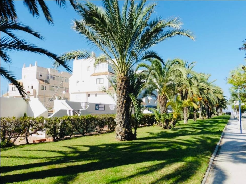 Property building, Garden, Garden, Garden view