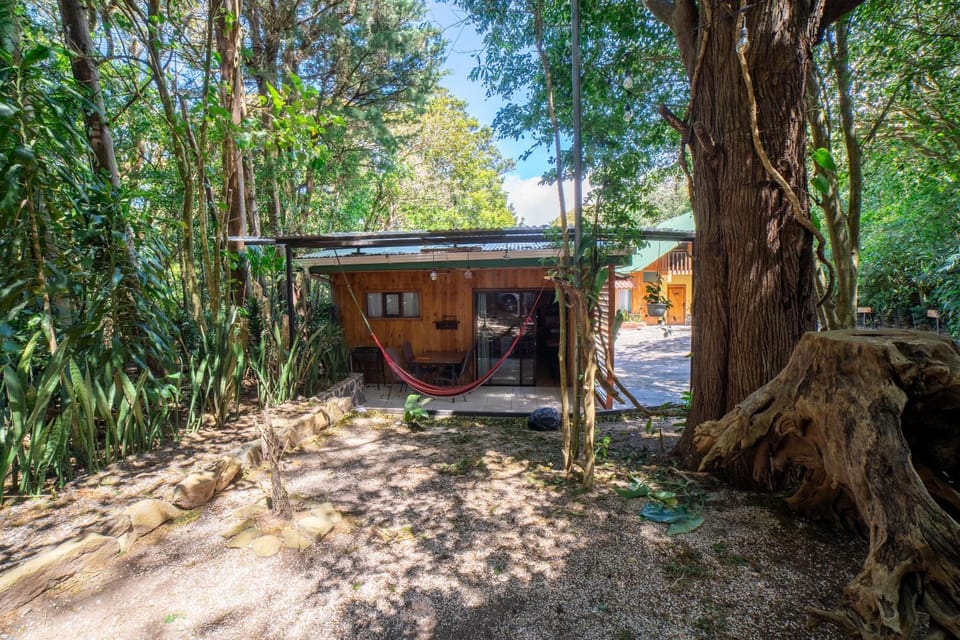 Garden, Garden view