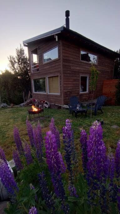 Property building, Spring, Day, Garden, Garden view