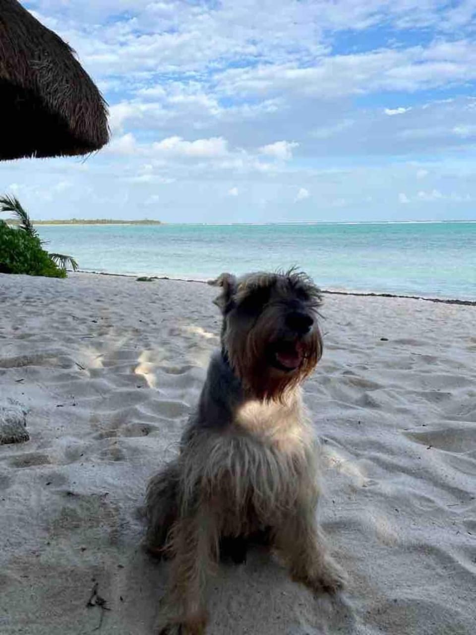 Soliman bay beachfront bungalows Villa in State of Quintana Roo