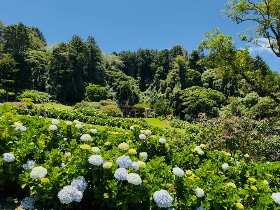 Natural landscape, Garden view