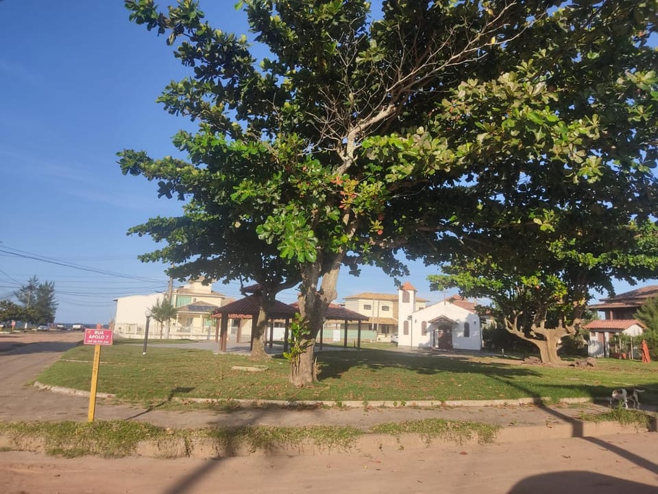 Natural landscape, Street view
