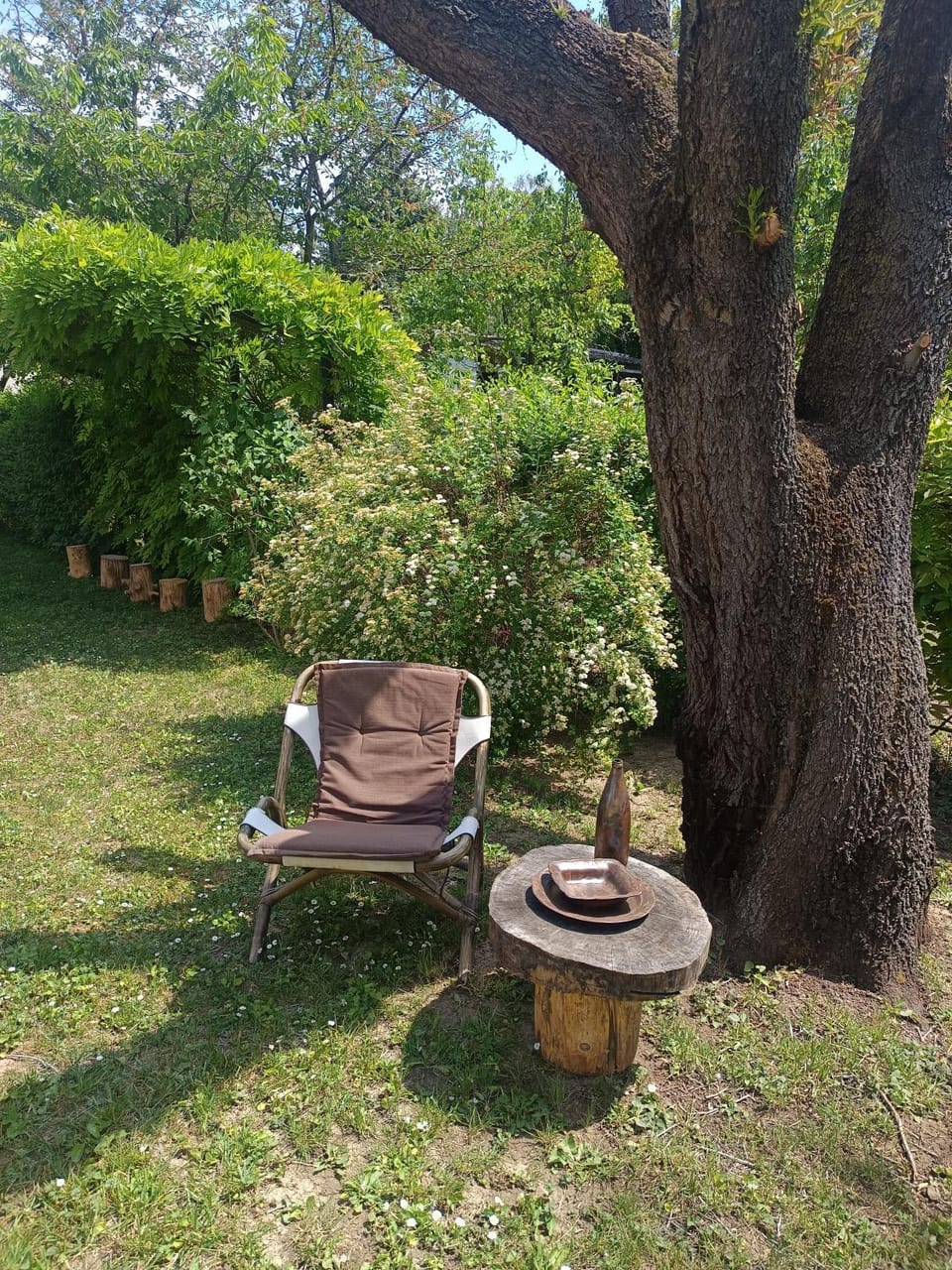 Bella Vita House in Hungary