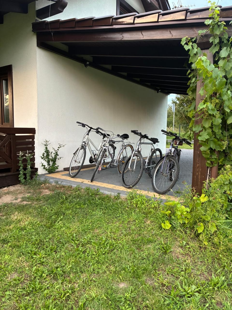 Day, Cycling