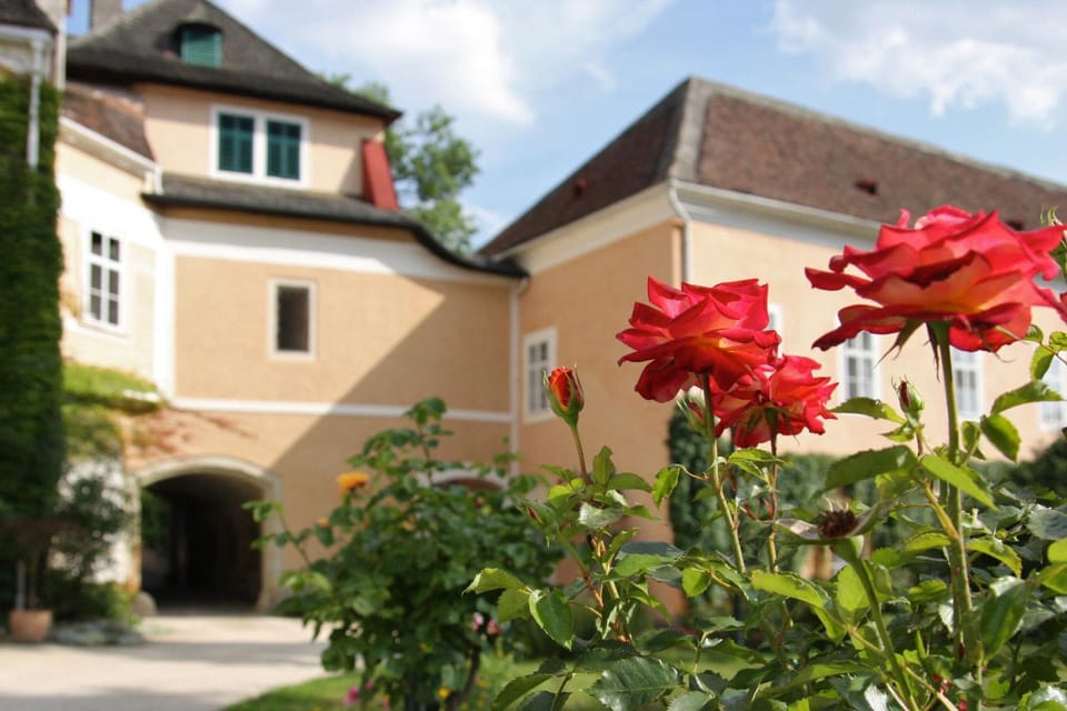 Property building, Spring, Garden, Garden view