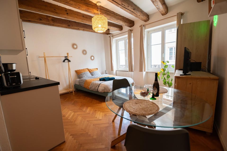 Le Repaire du Chanceux Apartment in Sélestat