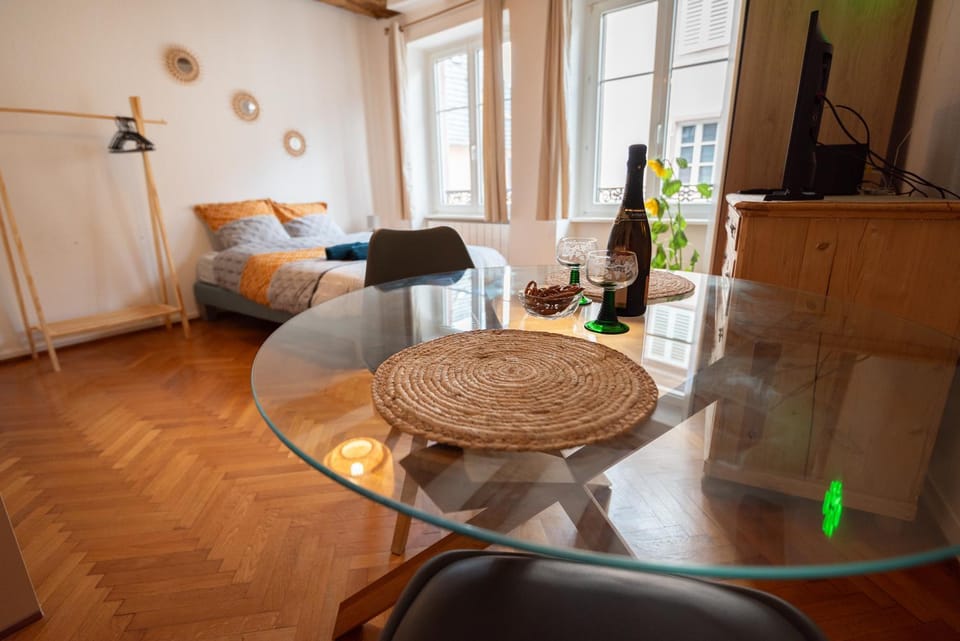 Le Repaire du Chanceux Apartment in Sélestat